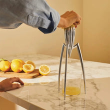 Alessi Juicy Salif